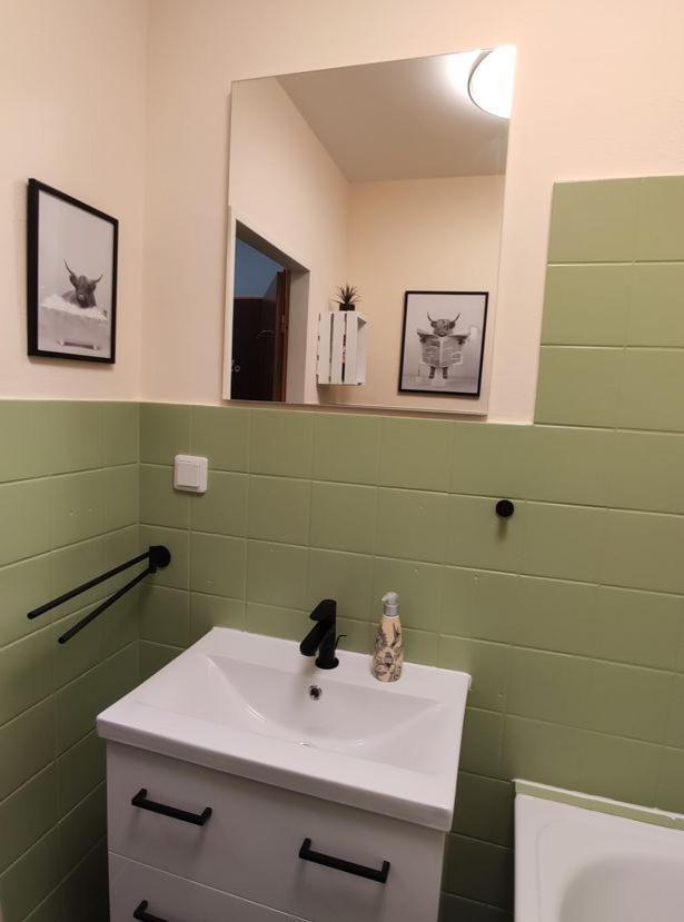 Ferienwohnung Harzluchs Mit Balkon, Netflix Und Sauna Im Haus โฮเฮอไกส์ ภายนอก รูปภาพ
